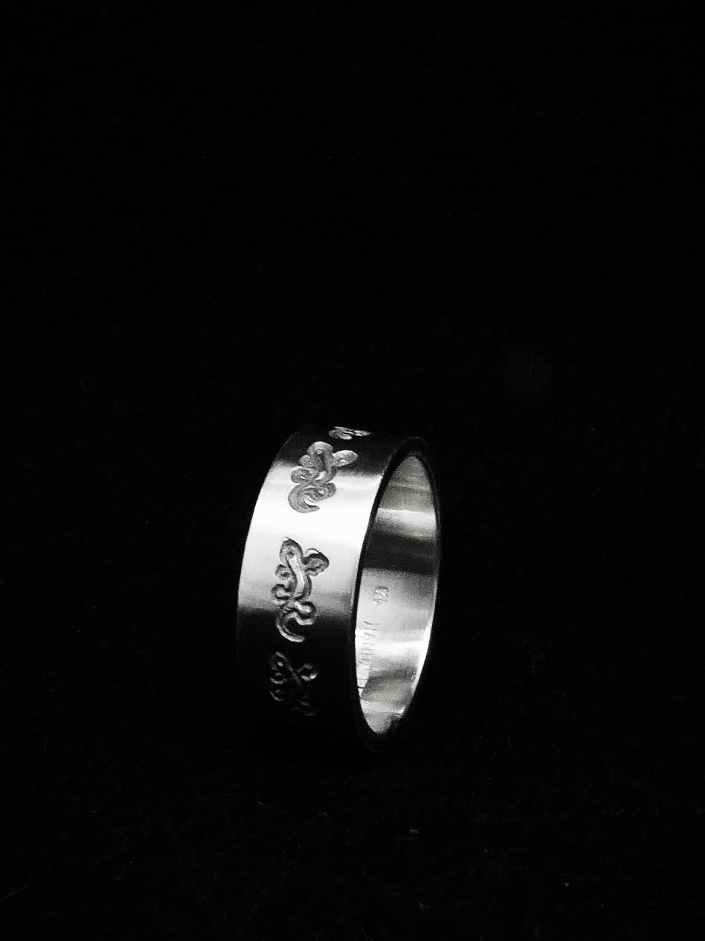 MotivRing Salamander | Echse