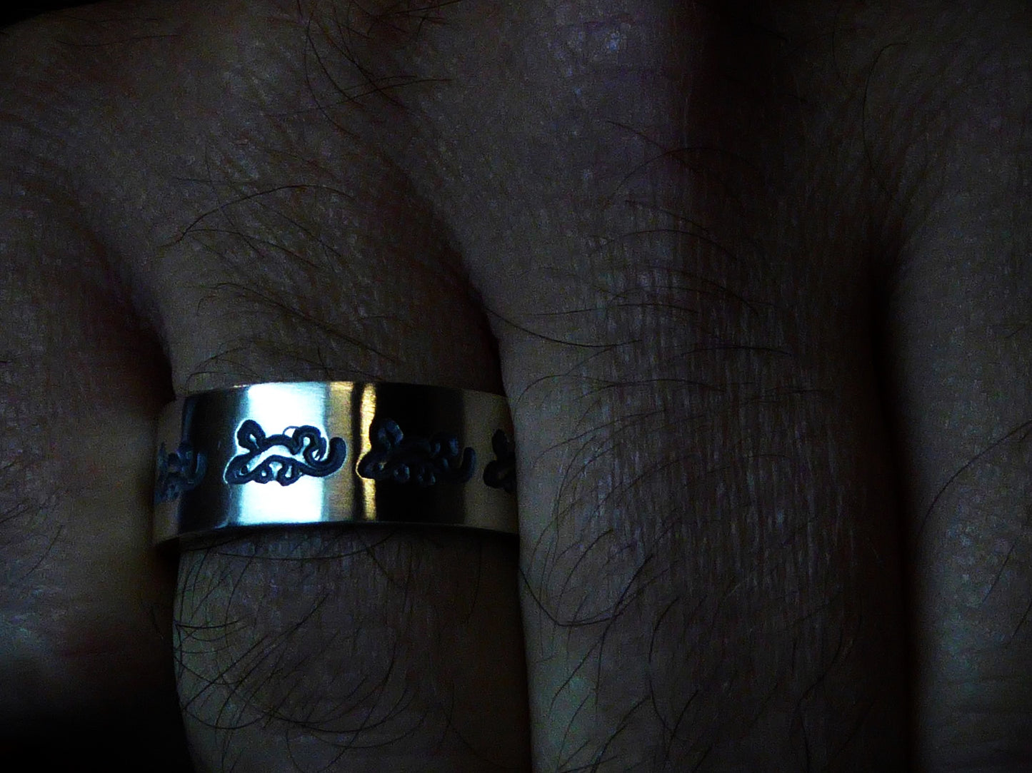 MotivRing Salamander | Echse